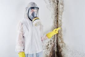 Best Mold Removal for HVAC Installations  in Newark, DE